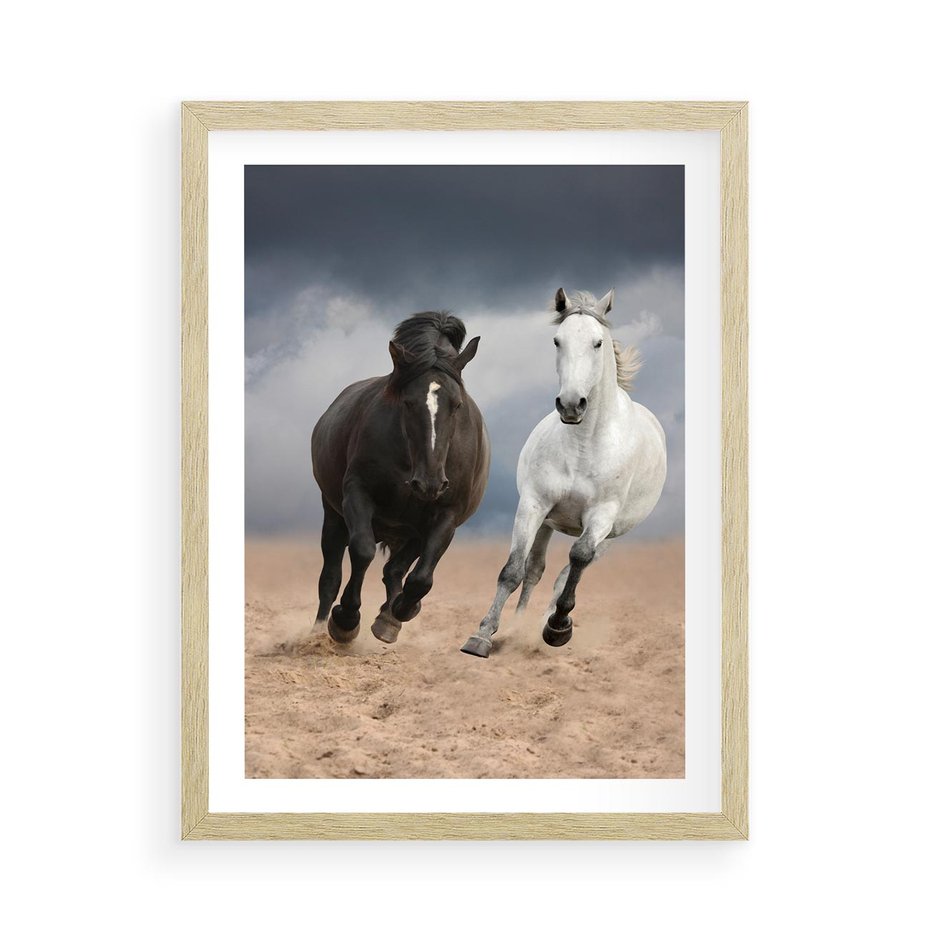 Plakat w ramie 50x70 - Siła koni w galopie - konie, galop - rama drewno