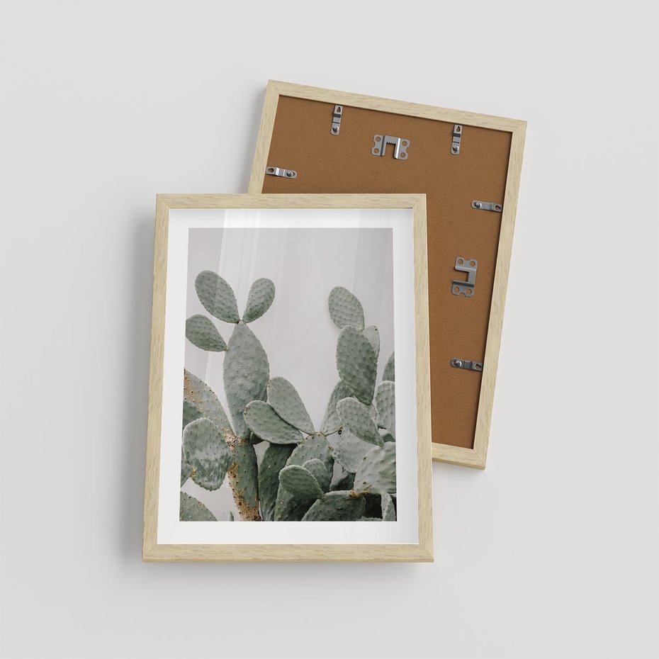 Plakat w ramie 30x40 - Imponujący Kaktus - duży kaktus, opuncja - rama drewno