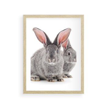 Plakat w ramie 30x40 - Uroczy królik wśród natury - królik, zając - rama drewno