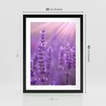 Plakat w ramie 30x40 - Fioletowa harmonia lawendy - lawenda, fiolet - rama czarna