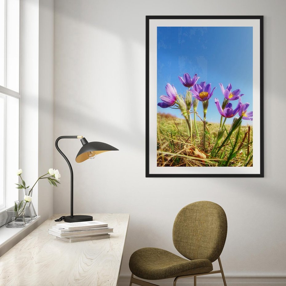 Plakat bez ramy 40x50 - Kwiatowa siła łąki - kwiaty, łąka