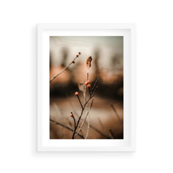 Plakat w ramie 30x40 - Jarzębina w Pejzażu - jesień, gałązka - rama biała