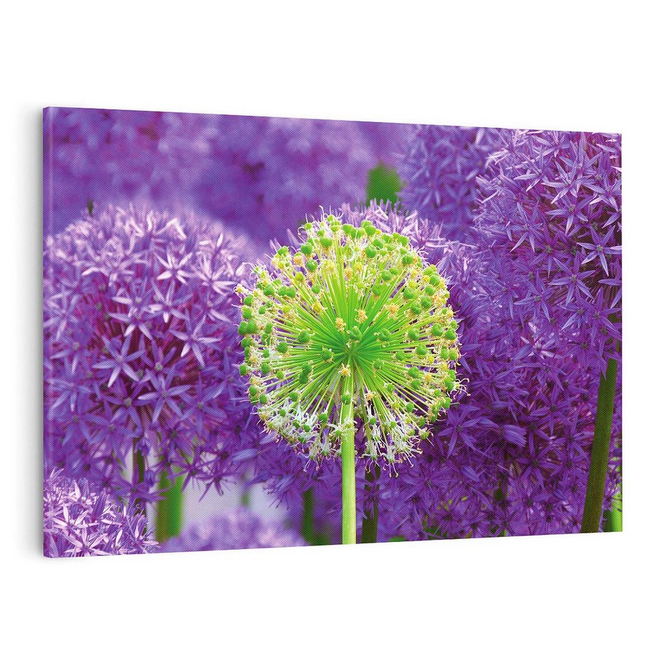 Obraz na płótnie 120x80 - Kwiatowy Raj - kwiat, kwiaty