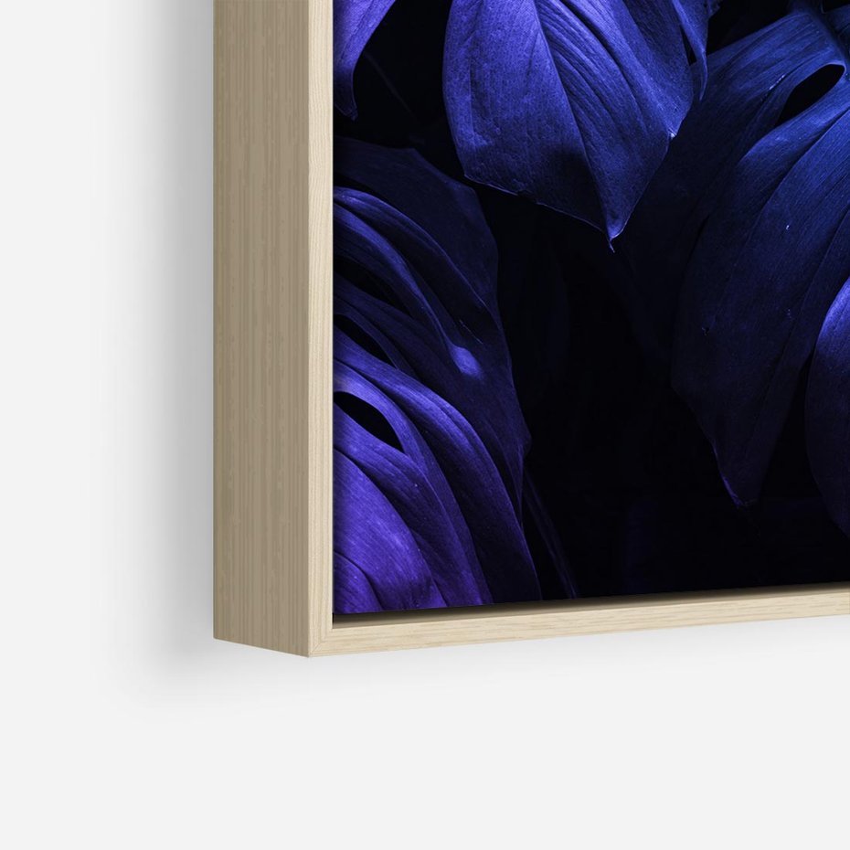 Obraz w ramie 50x50 - Mroczna Magia Dżungli - mroczna grafika, fioletowe liście monstery na czarnym tle - rama drewno