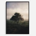 Obraz w ramie 70x100 - Zamglona Prostota - artystyczna fotografia, samotne drzewo na zamglonej łące - rama czarna