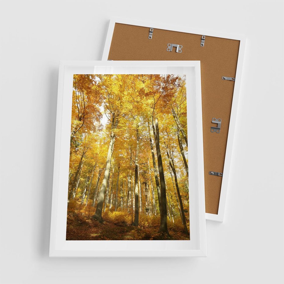 Plakat w ramie 50x70 - Jesienny Las - Kolorowa Paleta Natury - jesień, drzewa - rama biała