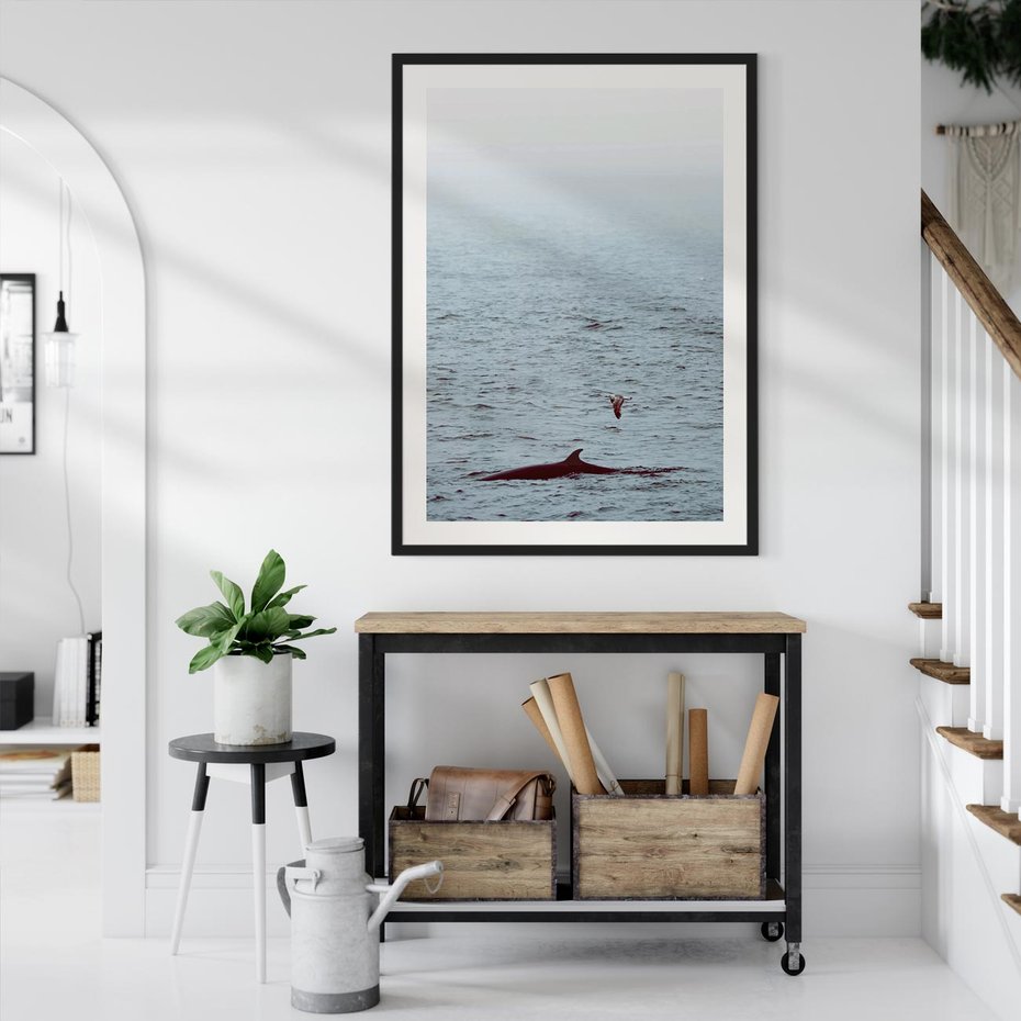 Plakat bez ramy 50x70 - Spotkanie z Orką - morze, ocean