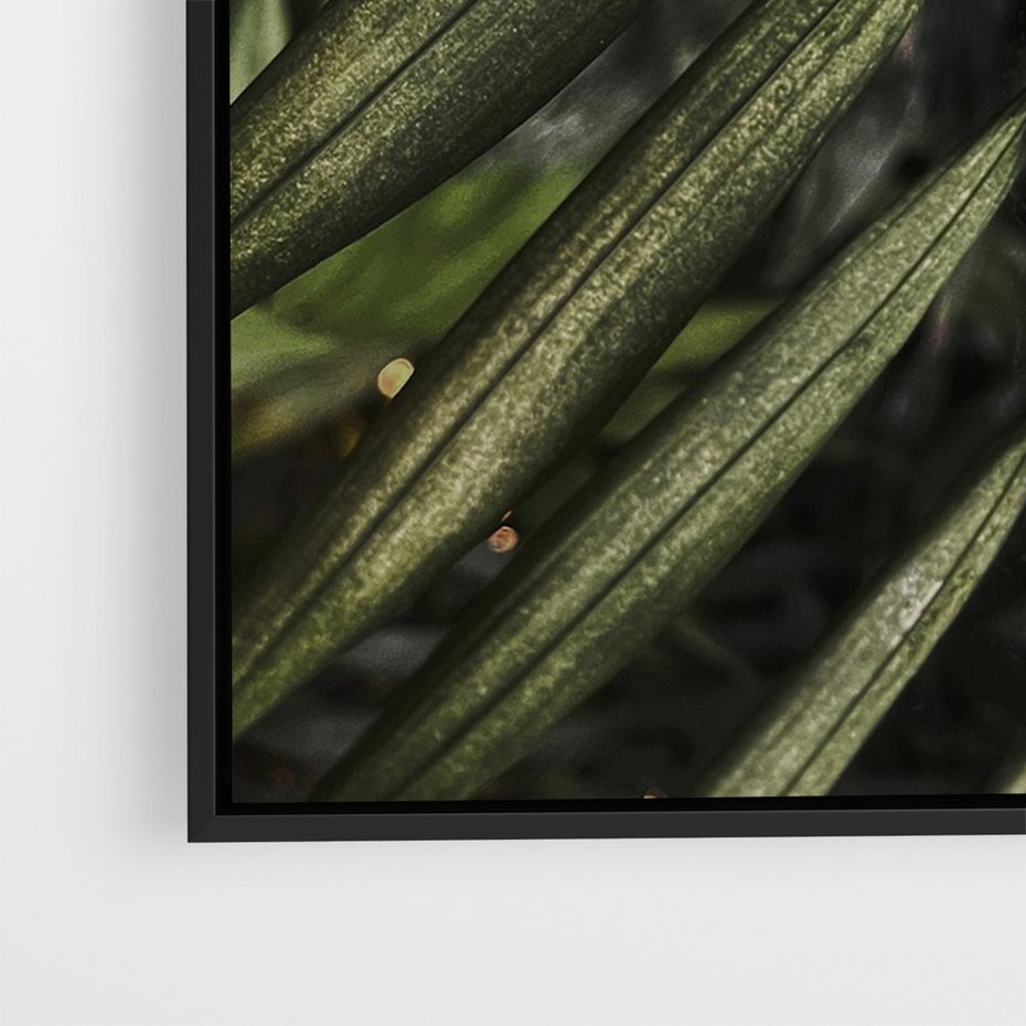 Obraz w ramie 70x100 - W Liściach Ukryte - zdjęcie, fotografia - rama czarna