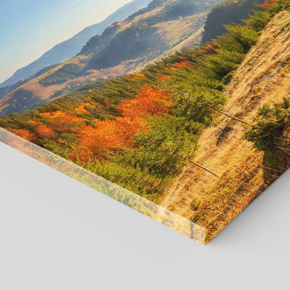 Obraz na płótnie 70x50 - Bliskość natury - góry, drzewo