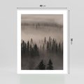 Plakat bez ramy 40x50 - Mglista Opowieść Lasu - las, mgła