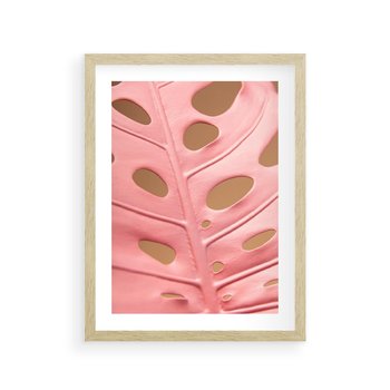 Plakat w ramie 40x50 - Różowy Liść Monstery - różowy liść monstery, nowoczesna fotografia - rama drewno