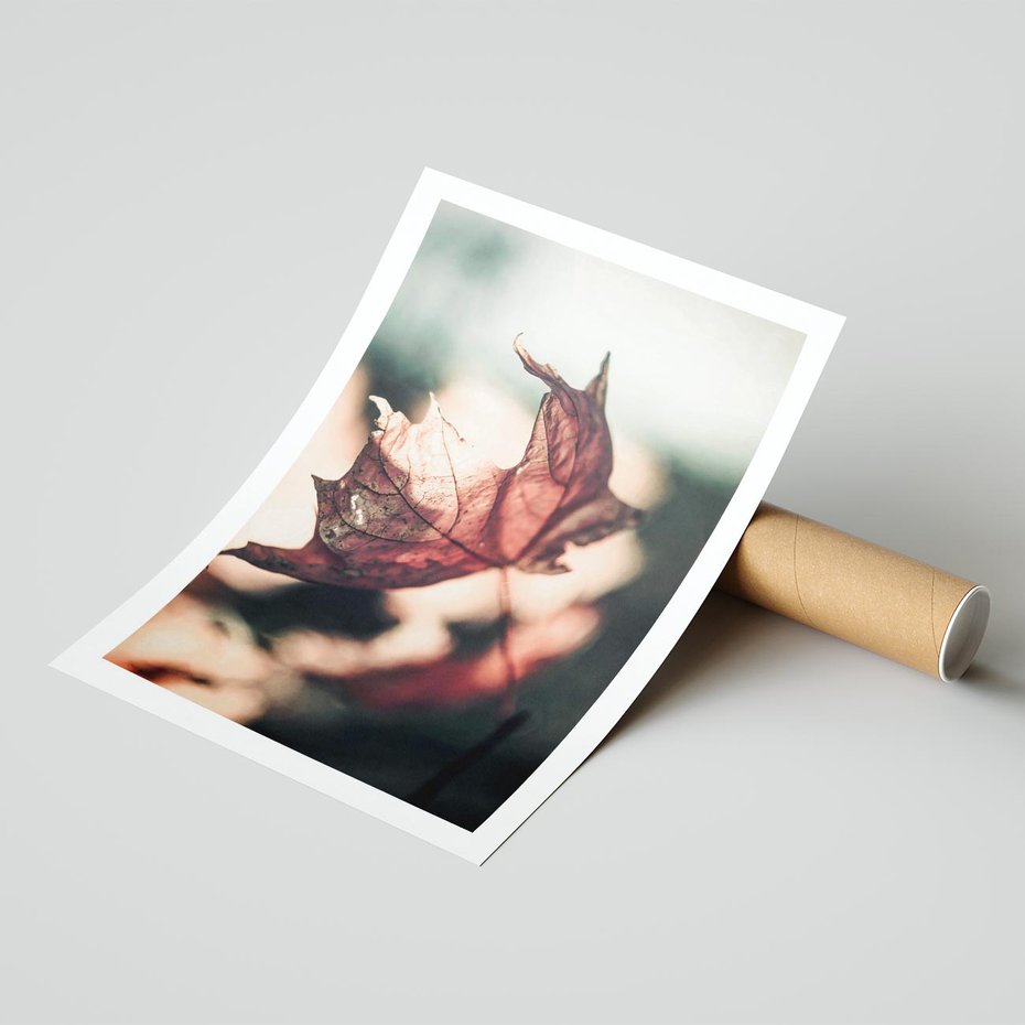 Plakat bez ramy 21x30 - Liść w Jesieni - jesienny liść, czerwony