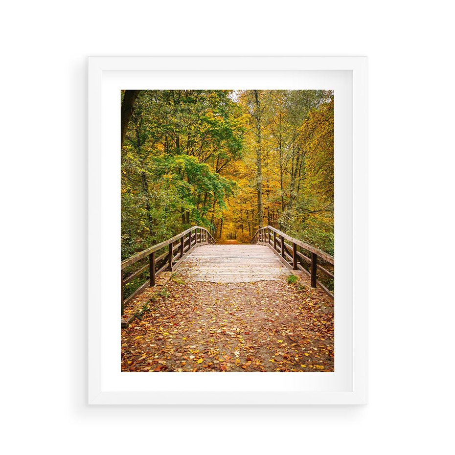 Plakat w ramie 40x50 - Spacer Ścieżką w Las - ścieżka, spacer - rama biała