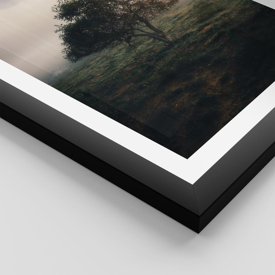 Plakat w ramie 40x50 - Zamglona Prostota - artystyczna fotografia, samotne drzewo na zamglonej łące - rama czarna