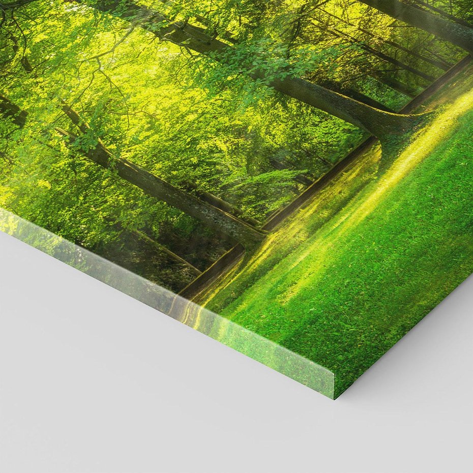 Obraz na płótnie 100x70 - Moc lasu - las, drzewa