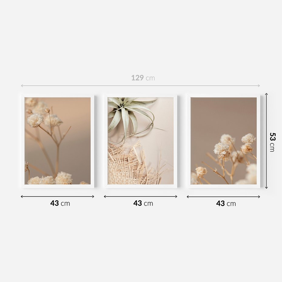 Zestaw obrazy w ramie 40x50 galeria - Suszone, kwiaty, boho - rama biała