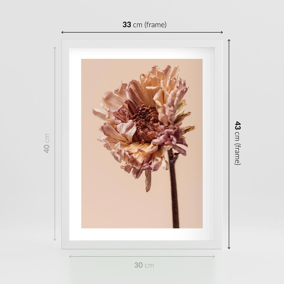 Plakat w ramie 30x40 - Delikatne piękno - suche, kwiaty - rama biała