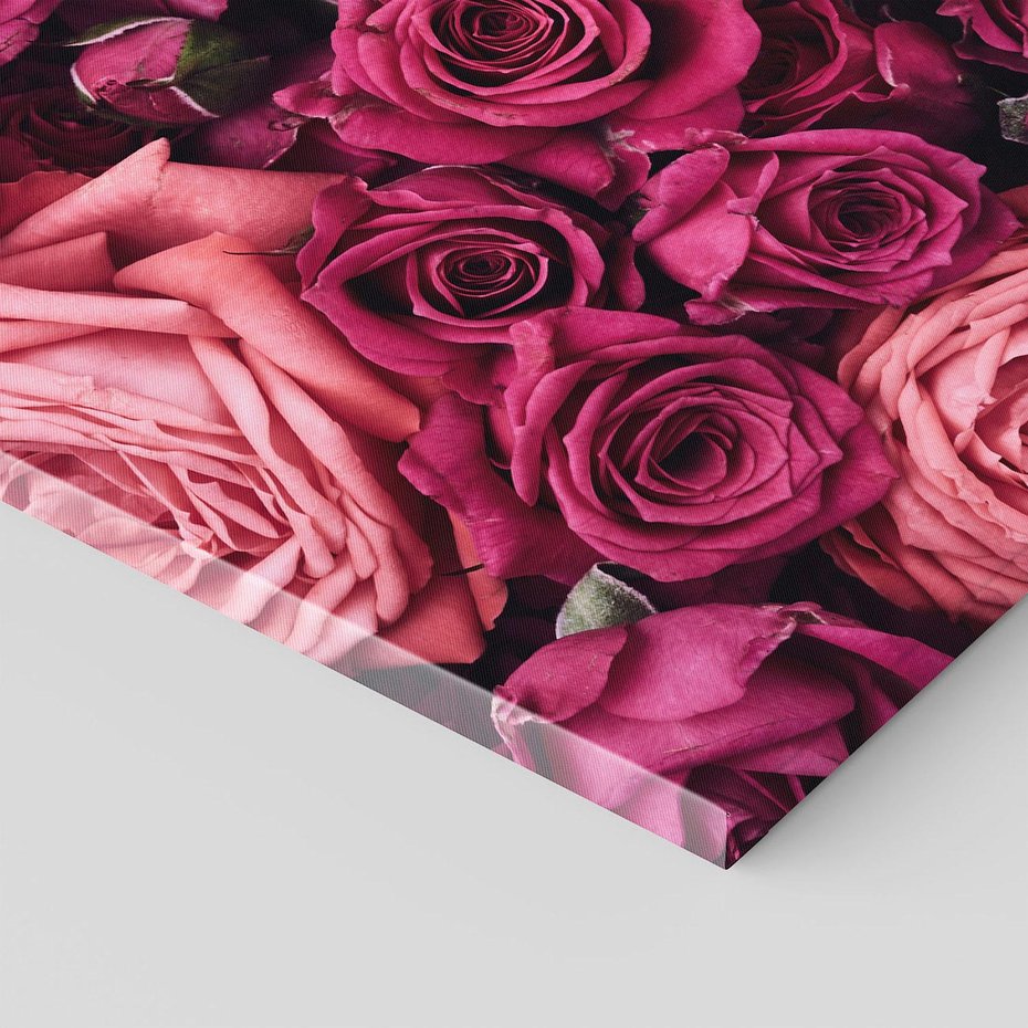 Obraz na płótnie 70x70 - Róże - piękno kwiatów - róże, kwiaty