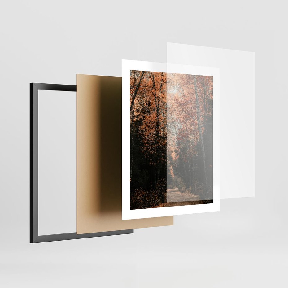 Plakat w ramie 40x50 - Drzewa w Czerwonych Liściach - las, jesienny las - rama czarna