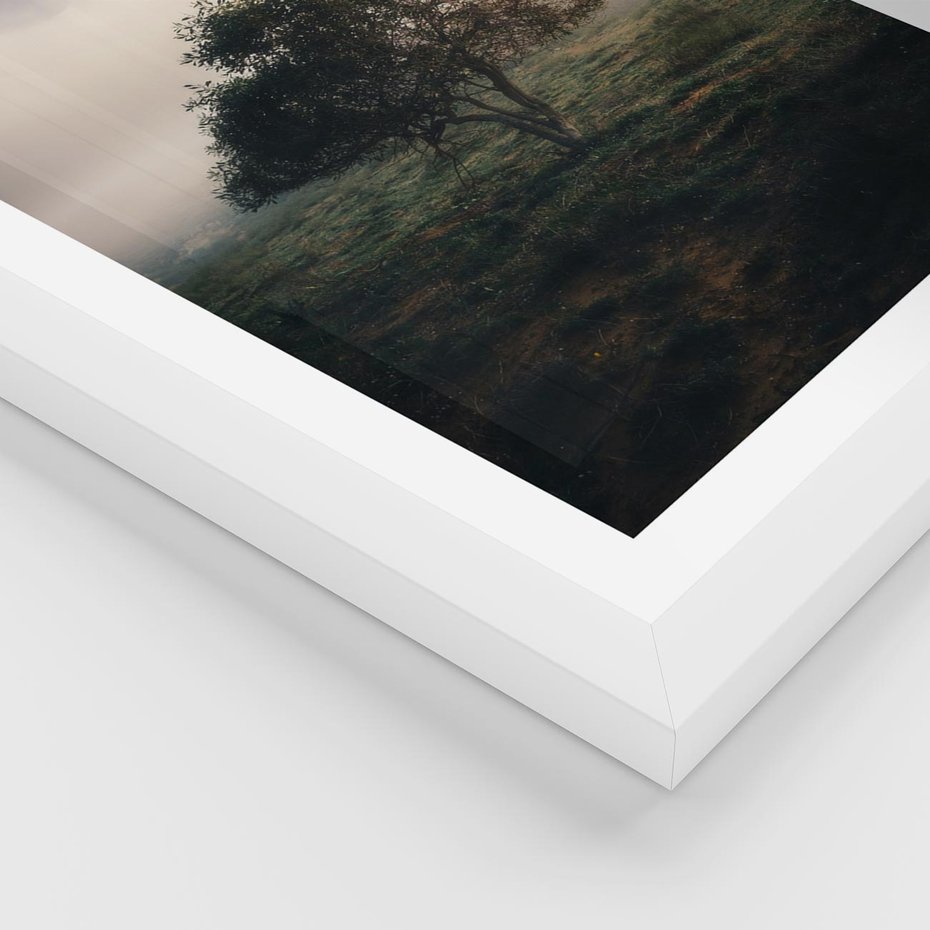 Plakat w ramie 40x50 - Zamglona Prostota - artystyczna fotografia, samotne drzewo na zamglonej łące - rama biała