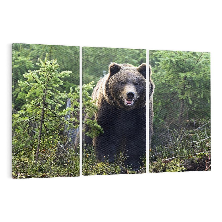 Obraz na płótnie 120x80 - Spotkanie z Niedźwiedziem w Lesie - niedźwiedź, las