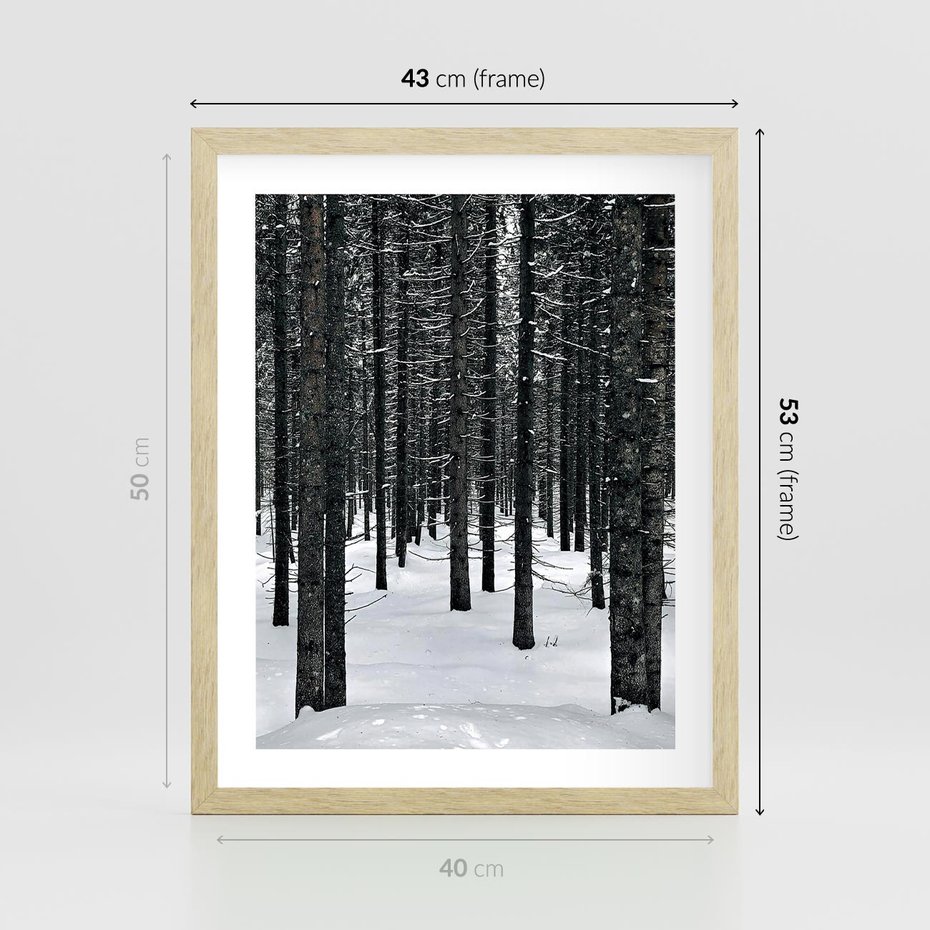 Plakat w ramie 40x50 - Zimowe Drzewa: Śnieg na Pniach - drzew w zimi, pnie drzew - rama drewno