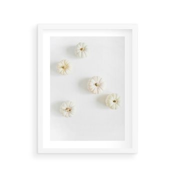 Plakat w ramie 50x70 - Biała Jesień: Dynie na Jasnym Tle - białe dynie, białe tło - rama biała