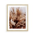 Plakat w ramie 40x50 - Sztuka Suszonych Traw - trawa pampas, suszone trawy - rama drewno