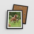 Plakat w ramie 40x50 - Galopujące konie - konie, galop - rama czarna
