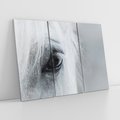 Obraz na płótnie 120x80 - Oko Mocy - czarno białe zdjęcie, zbliżenie makro na oko konia