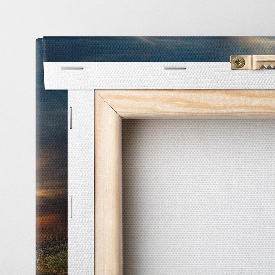 Obraz na płótnie 100x70 - Potęga słonia na afrykańskiej sawannie - słoń, sawanna