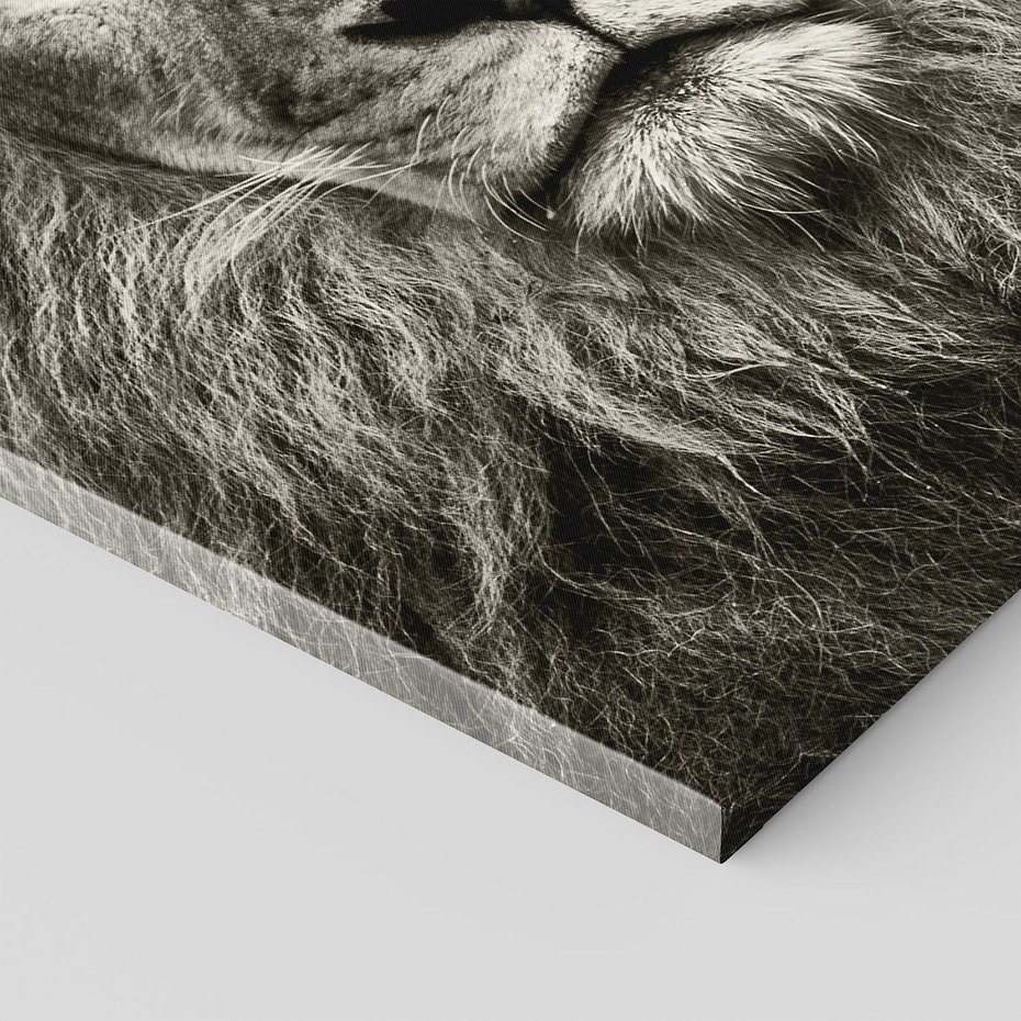 Obraz na płótnie 80x120 - Moc lewego spojrzenia - lew, czarno