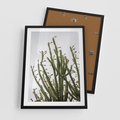 Plakat w ramie 50x70 - Ekskluzywna Roślinność - kaktusy, liście - rama czarna