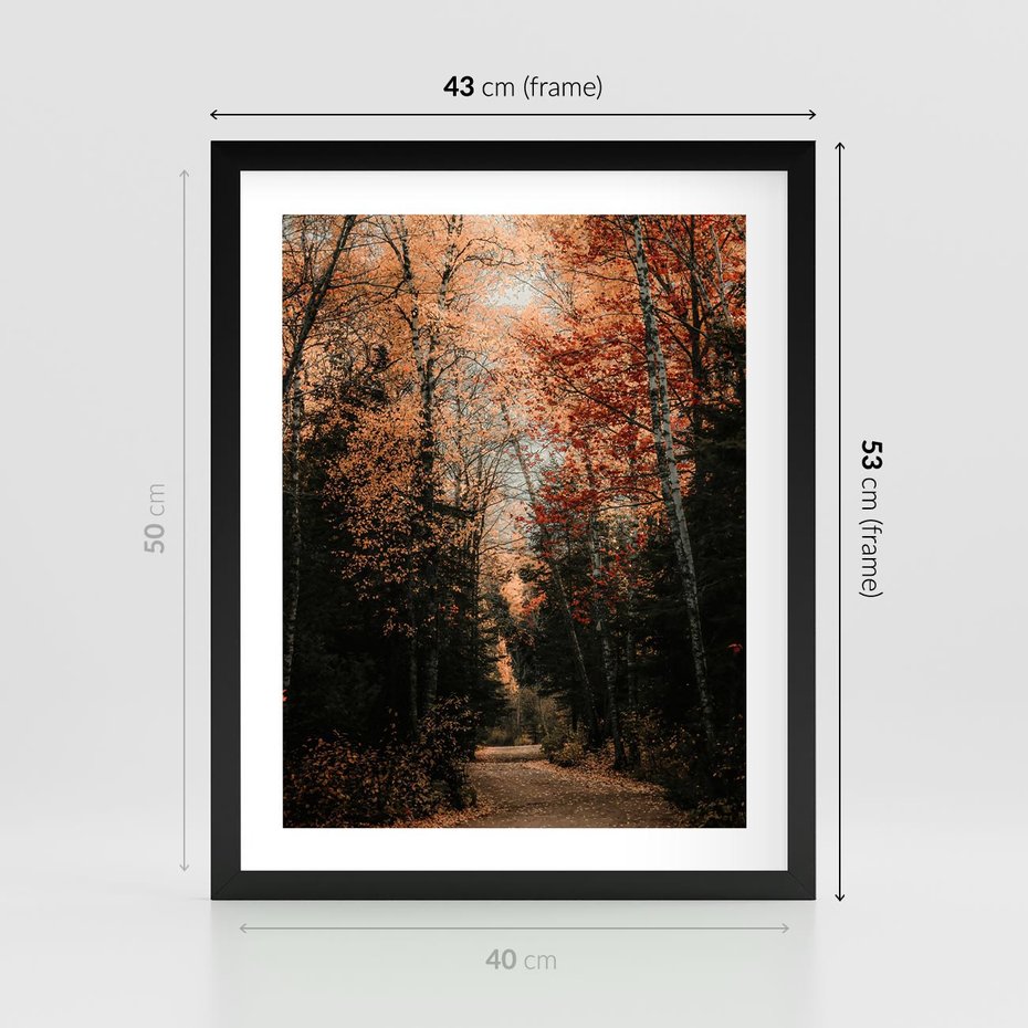 Plakat w ramie 40x50 - Drzewa w Czerwonych Liściach - las, jesienny las - rama czarna