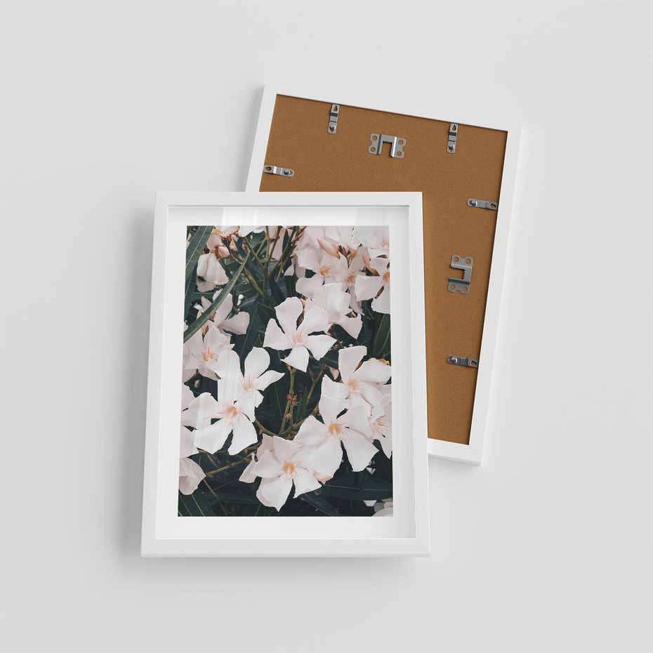 Plakat w ramie 30x40 - Egzotyczna Uroda - białe kwiaty, tropikalne kwiaty - rama biała
