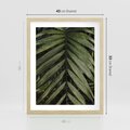 Plakat w ramie 40x50 - W Liściach Ukryte - zdjęcie, fotografia - rama drewno