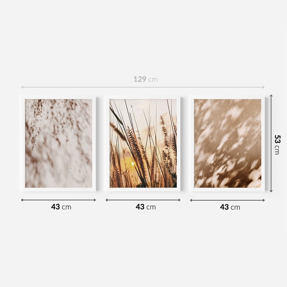 Zestaw obrazy w ramie 40x50 galeria - Trawy, zachód, słońca, cienie - rama biała