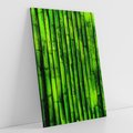 Obraz na płótnie 50x70 - Bambusowy urok zielonej harmonii - bambus, zieleń