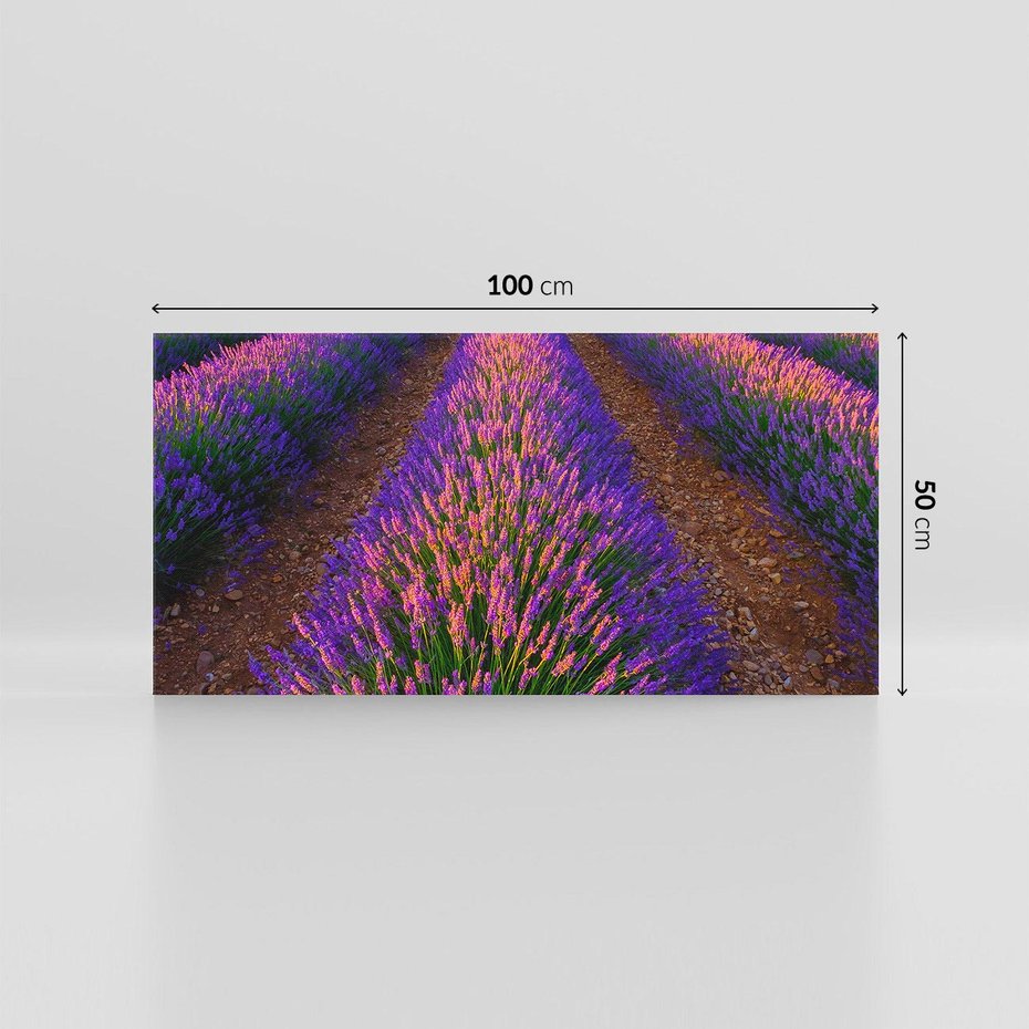 Obraz na płótnie 100x50 - Fioletowa Magia - pole, lawendy