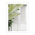 Plakat bez ramy 40x50 - Tropikalne Okno - białe okiennice, zielona tropikalna roślina