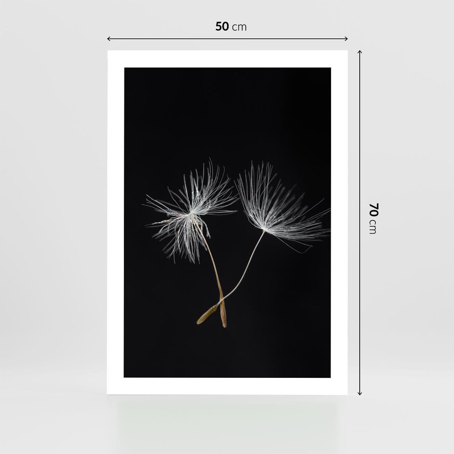 Plakat bez ramy 50x70 - Delikatność Wiatru - dmuchawce, makro