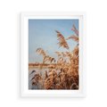 Plakat w ramie 50x70 - Wyraz Stylu - trawy, boho - rama biała