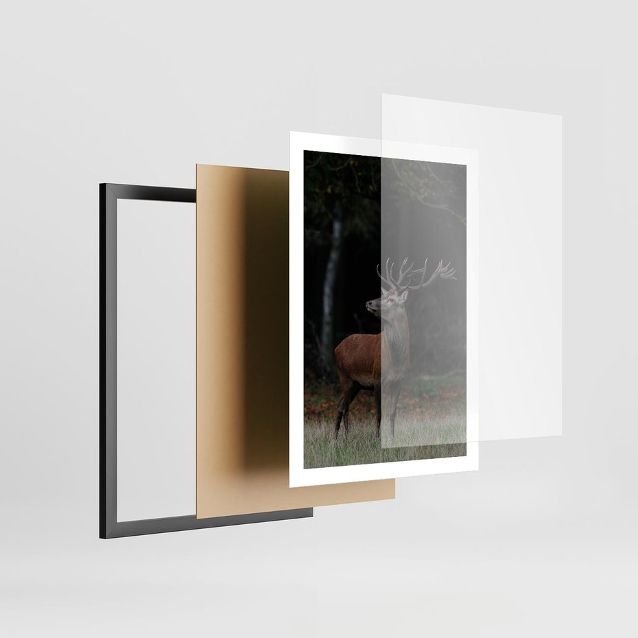 Plakat w ramie 50x70 - Spotkanie z naturą - jeleń, las - rama czarna