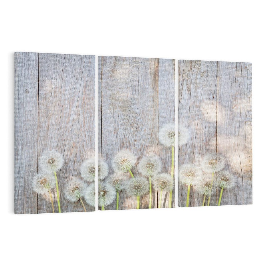 Obraz na płótnie 120x80 - Symbol swobody - dmuchawce