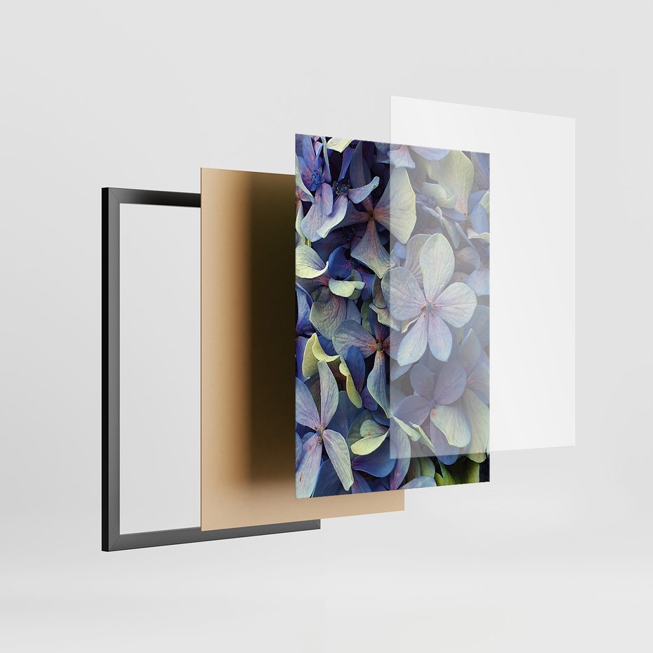 Zestaw obrazy w ramie 50x70 galeria - Suche, kwiaty, hortensje, boho - rama czarna