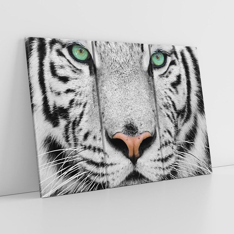 Obraz na płótnie 120x80 - Magia Białego Tygrysa - biały, tygrys
