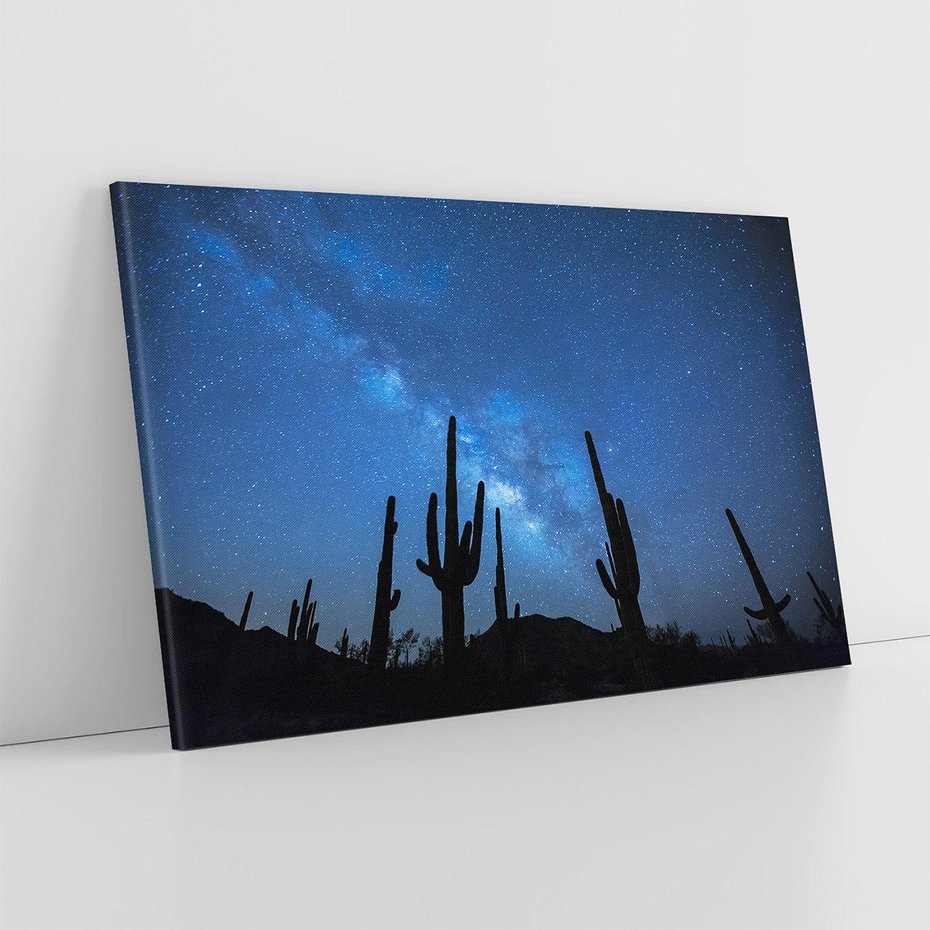 Obraz na płótnie 100x70 - Kaktusy - Niebo z gwiazdami - kaktusy, niebo
