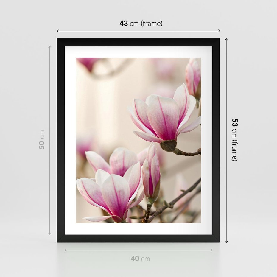 Plakat w ramie 40x50 - Urok Magnolii - magnolie, kwiaty - rama czarna