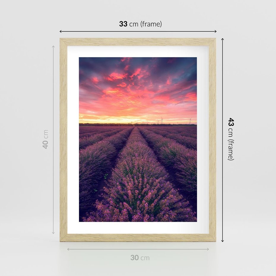 Plakat w ramie 30x40 - Różowe Niebo nad Polami - pola lawendy, zachód słońca - rama drewno