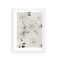 Plakat w ramie 30x40 - Białe Kwiaty: Płatki Delikatności - białe kwiaty, zbliżenie - rama biała